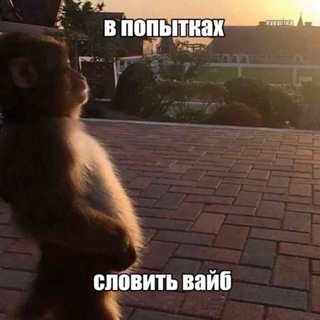Telegram profile photo for 😼тася ʜα сɞяʒυ💋