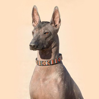 Telegram profile photo for Chantico On Air