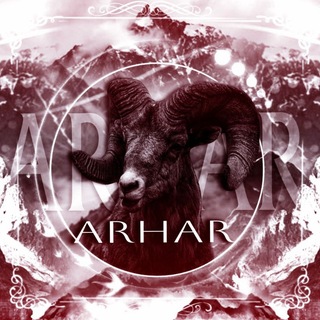 Telegram profile photo for инфо ARHAR