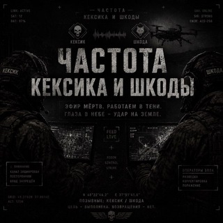 Telegram profile photo for • КЕКСИК–ШКОДА | ВОЗДУШНЫЙ КОНТРОЛЬ