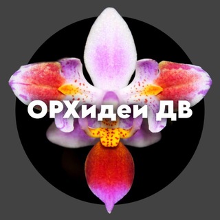 Telegram profile photo for ОРХидеи ДВ