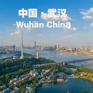 Telegram profile photo for 武汉骑士团(老师轮播打卡)