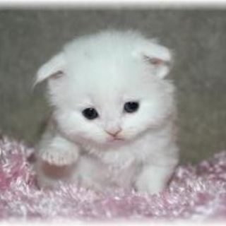 Telegram profile photo for heaven tonight рест
