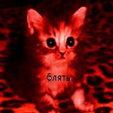 Telegram profile photo for лохушка