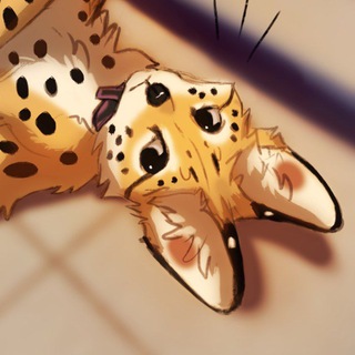 Telegram profile photo for Servaldays