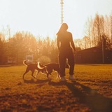 Telegram profile photo for Run It Out