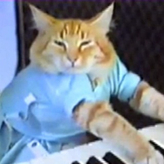 Telegram profile photo for $KEYCAT PORTAL