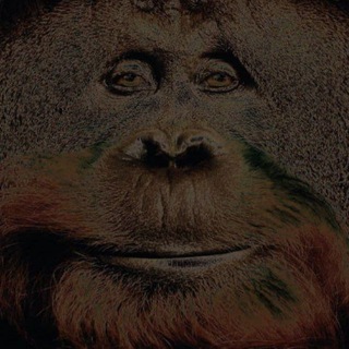 Telegram profile photo for pecho florido