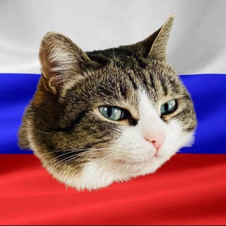 Telegram profile photo for Varonina