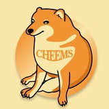 Telegram profile photo for Cheems Entry