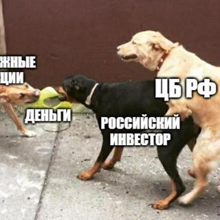 Telegram profile photo for Заблокированные активы инвесторов