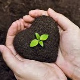 Telegram profile photo for 33 рассказа про почву