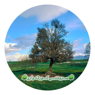 Telegram profile photo for کانال سروشتی کوردەواری