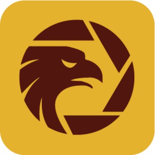 Telegram profile photo for WikiFX Official Channel (Southeast Asia - English)