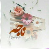 Telegram profile photo for ناجه