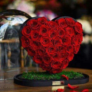Telegram profile photo for ﺟـﻧـة اﺂݪـو٘ࢪد🌹💫