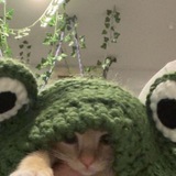 Telegram profile photo for Mado in heaven