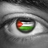 Telegram profile photo for الصف الثامن - المكتبة الفلسطينية الشاملة