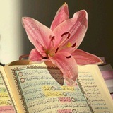Telegram profile photo for "وَجَزَاهُمْ بِمَا صَبَرُوا جَنَّةً وَحَرِيرًا" 🌸