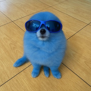 Telegram profile photo for Based Kori - PORTAL