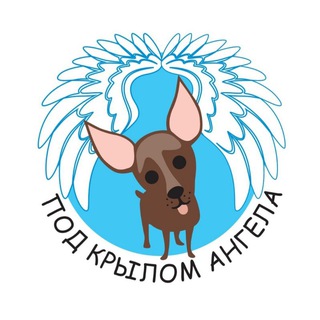 Telegram profile photo for АНО "Под крылом ангела"