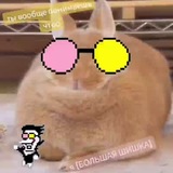 Telegram profile photo for Селфейлт слоопищ