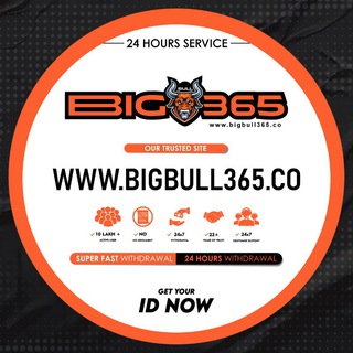 Telegram profile photo for BIGBULL365.CO