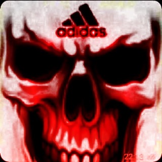 Telegram profile photo for UNDM #IDC
