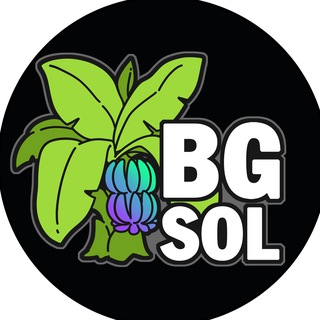 Telegram profile photo for BANANA SOL Deployer