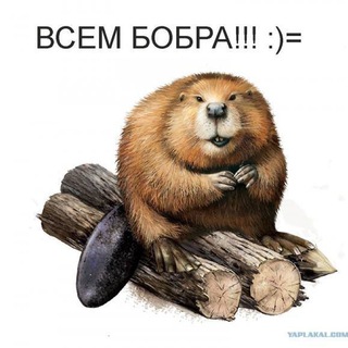 Telegram profile photo for фрисби club
