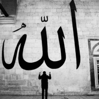 Telegram profile photo for El - Islam❤