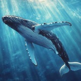 Telegram profile photo for Blue Void