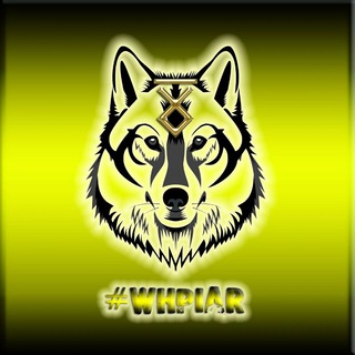Telegram group profile photo for Услуги и товары для животных.