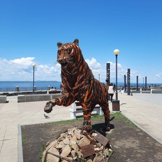 Telegram profile photo for Владивостокский гектар