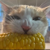 Telegram profile photo for Кукуруза