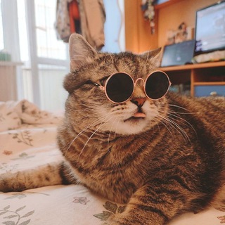 Telegram profile photo for Просто, Мори