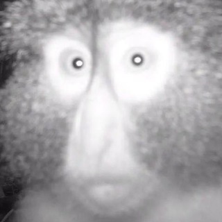Telegram profile photo for юля, зачем?