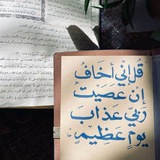 Telegram profile photo for نـقل فتاوى العُلماء