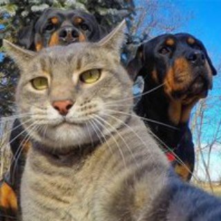 Telegram profile photo for Наши оппы😂