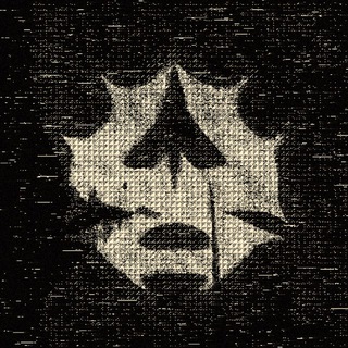 Telegram profile photo for ANARCHY