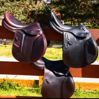 Telegram profile photo for Professional_saddle