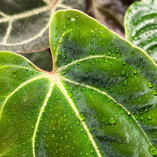 Telegram profile photo for Детки-конфетки 🌱