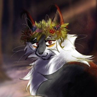 Telegram profile photo for ⟡ WOLLA ⟡