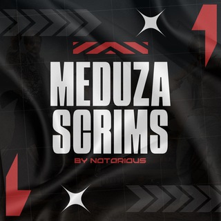 Telegram profile photo for MEDUZA SCRIMS