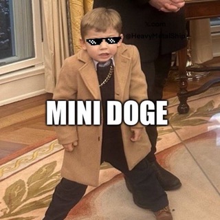 Telegram profile photo for MINIDOGE PORTAL - To 1B MC