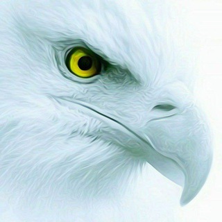 Telegram profile photo for β πππΓππ π¬ππππβ Der Kanal