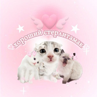 Telegram profile photo for ХОРОШИЙ СТЕРЛИТАМАК