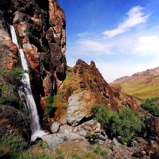 Telegram profile photo for کانال طامه ایها