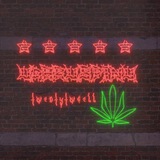 Telegram profile photo for Yдар в спину ежом