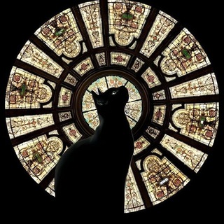 Telegram profile photo for هآیرث